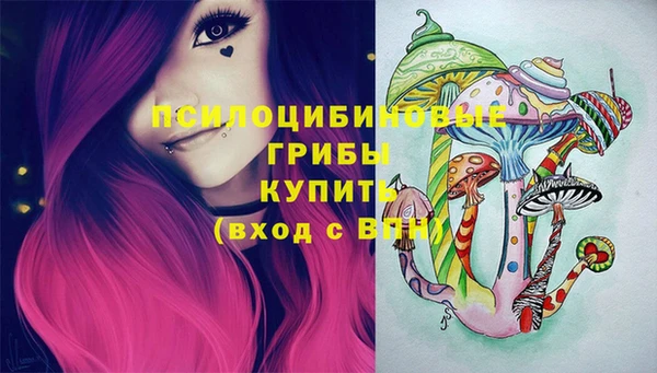 гашик Балахна