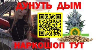 индика Тверь