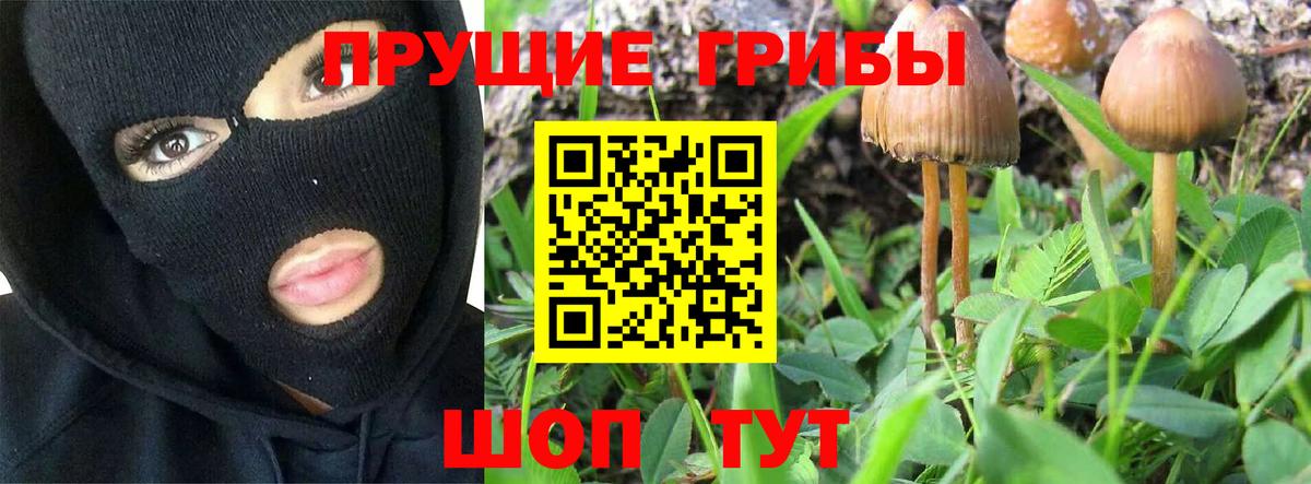 Белогорск  где можно купить наркотик  Псилоцибиновые грибы прущие грибы  Вход с VPN  Галлюциногенные грибы GOLDEN TEACHER 